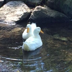 Meet your Posher, Linda